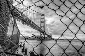 20 gambar sketsa kumpulan gambar sketsa bunga. Tips Foto Hitam Putih Diykamera