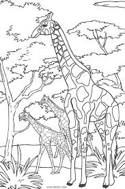 The set includes facts about parachutes, the statue of liberty, and more. Free Printable Giraffe Coloring Pages For Kids