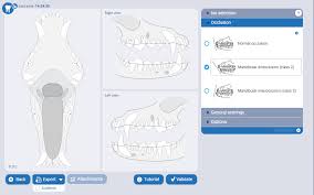 e vds plus dental charting system 1 year subscription