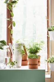 Bittergurka Giesskanne Weiss Ikea Deutschland Ikea Pflanzen Pflanzen Ikea