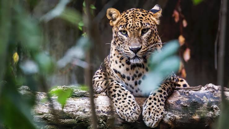 14 Days Sri Lanka Adventure Tour in Sri Lanka