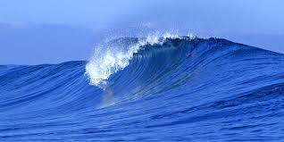 Image result for air laut
