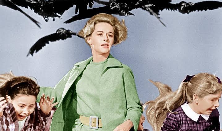 THE BIRDS - The Belcourt Theatre
