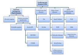 Measuring New Cardiovascular Events In The Idi