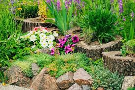 Apr 09, 2020 · there are so many different color combos and designs you could do for your owls too. 3 Easy Rock Garden Designs The Idea Garden