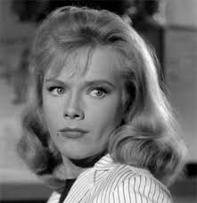 Television's New Frontier: The 1960s: December 2015