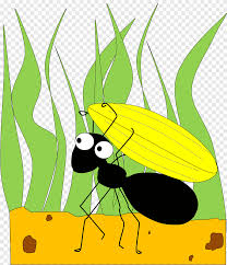 Check spelling or type a new query. Semut Dan Belalang Semut Lebah Madu Daun Png Pngegg
