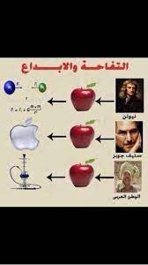 مسلم الزامل on twitter fun quotes funny funny photo memes funny picture jokes