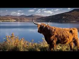 Arvo Part My Heart S In The Highlands Sheet Music My Heart S In The Highlands Youtube