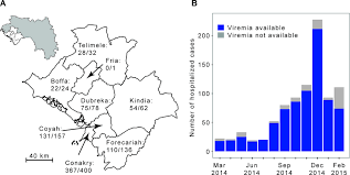 The deadly disease that ravished africa and all of its starving children has come to ravish you.yes, you. The Ebola Virus Disease Epidemic In The Conakry Area Guinea March Download Scientific Diagram