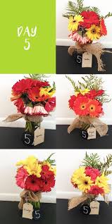 If you cut too much stem and foliage, the bulb may not flower the next year. Mythbusters How To Keep Flowers Fresh Longer Fresh By Ftd