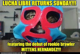 Libre hop valley, nacho libre mask and cape, nacho libre meme generator, nacho libre characters pictures, nacho libre 2006, what nacho libre about, nacho libre orphans cast, who is nacho libre, the nacho libre song, nachos libre, www nacho libre com, nacho libre synopsis, nacholibre. I Can Has Cheezburger Lucha Libre Funny Animals Online Cheezburger