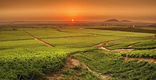 Mix Relax – 55 – Chinese