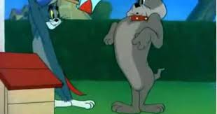 فيلم كرتون توم وجيري 8 tom and jerry tom and jerry tom and jerry cartoon disney toms