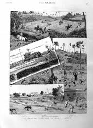 1885-Fox Hunt At Andheri Railway ...