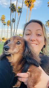 Hi all! I just wanted to introduce myself and share a photo I took at Bay  Pines Veterans Park. She was my best friend but was euthanized August 12th,  2023 because of