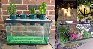 Aquarium coffee table diy aulamintic co. 5 Awesome Ways To Repurpose A Fish Tank Old Fish Tank Uses Balcony Garden Web