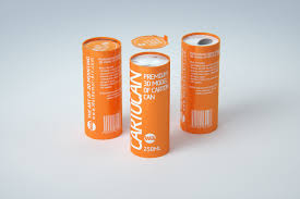 Packaging 3d Model Of Carton Can Cartocan 250ml Packaging Carton 3d Model