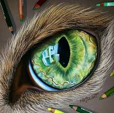 To find out how to draw a traditional cat, read on! Colored Pencil Iris Drawing Cats Art Drawing Cat Eye Tattoos