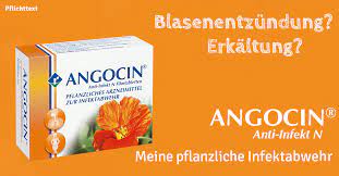 Angocin blasenentzündung