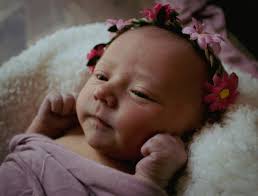 Profile for Debra Brady Photography