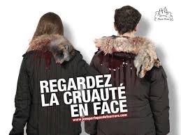 Résultat de recherche d'images pour "publicité de sensibilisation pour les animaux"