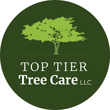 Caring for and protecting your home's trees involves a wide variety of different, specialized services. Tree Pruning Top Tier Tree Care Albany Corvallis Lebanon Or