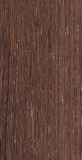 Image result for Millettia stuhlmannii