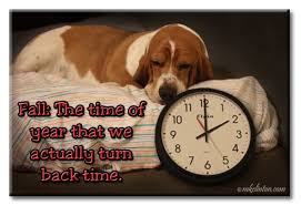 5 Fun Dog Memes Part 3 Dog Memes Basset Hound Best Dogs