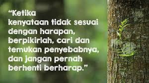 Kumpulan Kata Mutiara Ikhlas Menerima Kenyataan Terbaik Mutiara Kata Kata Mutiara Motivasi