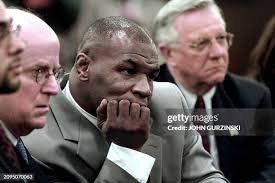 1,816 Finkel Stock Photos, High-Res Pictures, and Images