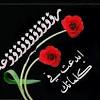 غير أن هذه المحكمة المبثوثة 1