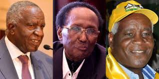 Mt Kenya billionaires who bankroll campaigns, elections