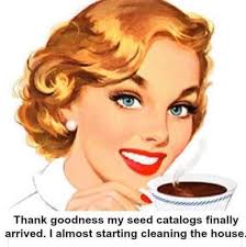 We will soon be counting down the days until Winter Solstice, so winter  sowing can begin. This is a reminder to gather some native seeds and to  start saving some useable plastic