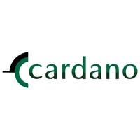 24,676 likes · 309 talking about this · 30 were here. Cardano Linkedin