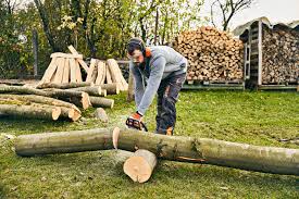 Pflanzkübel als baumstumpf aus beton selber machen. Ideen Fur Selbstgemachte Gartendeko Aus Holz Stihl