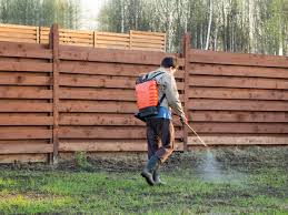 Most people are searching in google pest control dhaka pest control our special service for rodent control in bangladesh lots of pest control services providers. Services Discovery Pest Services