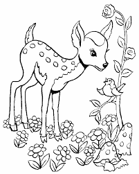 More 100 pieces cow for babies different animals. Coloriage Faon 04 Coloriage En Ligne Gratuit Pour Enfant Deer Coloring Pages Animal Coloring Pages Horse Coloring Pages