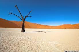 The namib (/ ˈnɑːmɪb /; Namib Desert Facts Information Map Climate Animals Travel Guide