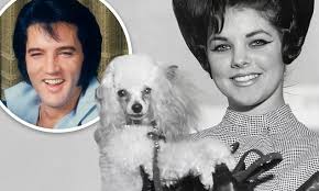 Priscilla Presley shares a throwback photo with the dog Elvis gave her when  she first arrived in Memphis: 'He was very sweet and so loving'