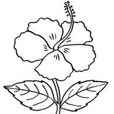 Maybe you would like to learn more about one of these? Lukisan Bunga Raya Hitam Putih Cikimm Com