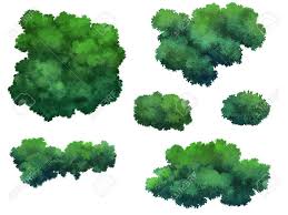 Bush For Cartoon Isolated On White Background Pixel Art Design Watercolor Plants Art Drawings Sketches Creative Okay, this is your album. bush for cartoon isolated on white