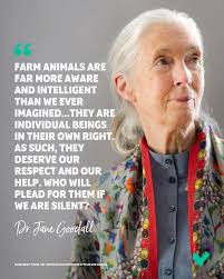 🌿 Honoring My Hero: Dr. Jane Goodall 🌿 Scientist. Conservationist.  Humanitarian. 1934