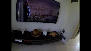 Socle métal sur mesure 30 kg + enceinte de 42 kg total 72 kg avec 6 chevilles molly dans placo. Comment Cacher Les Cables Tv Et Electriques Youtube