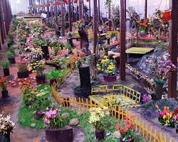 Image of Thread Garden Ooty