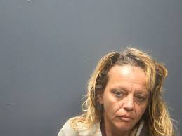 LUNDE, JERRY A SR Charge: PROBATION VIOLATION This information and more is  available at https://www.ace911isoms.com:9000/Jail?hours=24