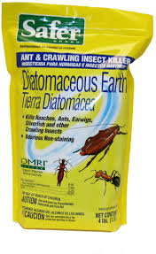To banish ants from lawns, you need to understand their behaviors and routines. Amazon Com Safer Brand 51702 Diatomaceous Earth Bed Bug Ant And Crawling Insect Killer 4 Pound Bag Home Pest Repellents Garden Outdoor