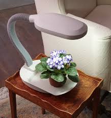 A Grow Light Extends Daylight Growing Hours And Stimulates Photsynthesis