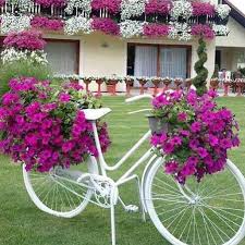 Amei A Combinacao Das Flores Na Bicicleta Com As Da Varanda Loucaporfesta Loucasporfestas Lou Jardins Pequenos Jardim Decorativo Bicicleta Na Decoracao