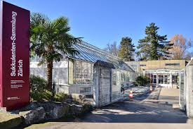 Check spelling or type a new query. Art Chronicles Of Canada Slim